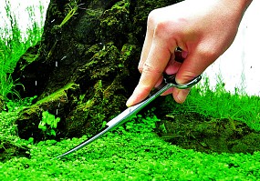 ADA Pro Scissors Short
